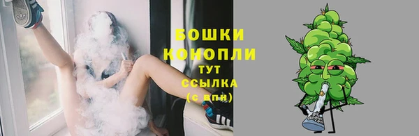 шишки Балабаново