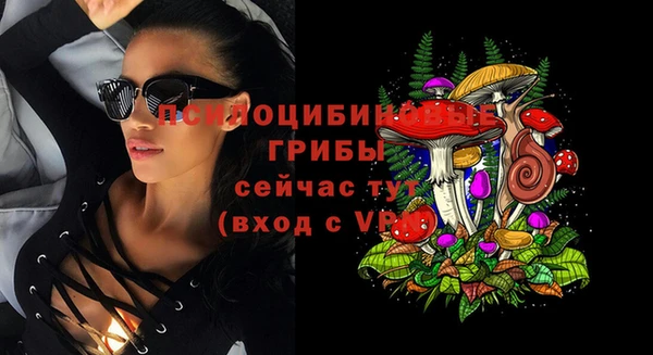 кокс Баксан