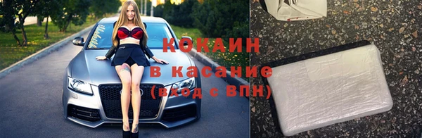 прущие грибы Новосибирск
