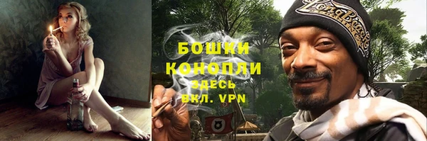 трава Ессентукская