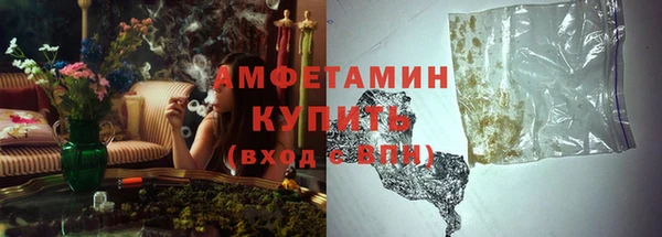 шишки Балабаново