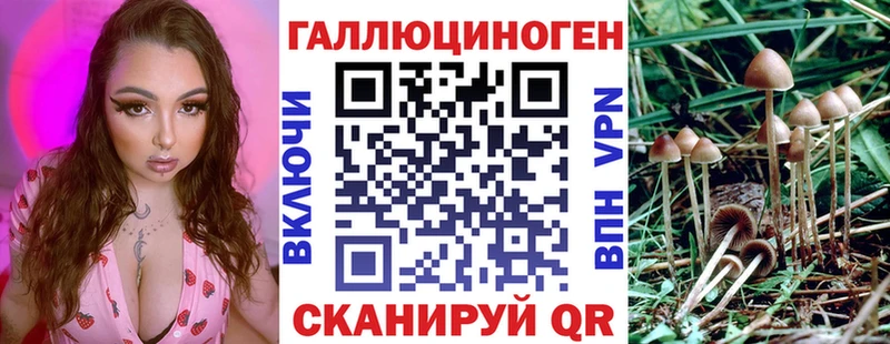 Галлюциногенные грибы Psilocybe  Белово 